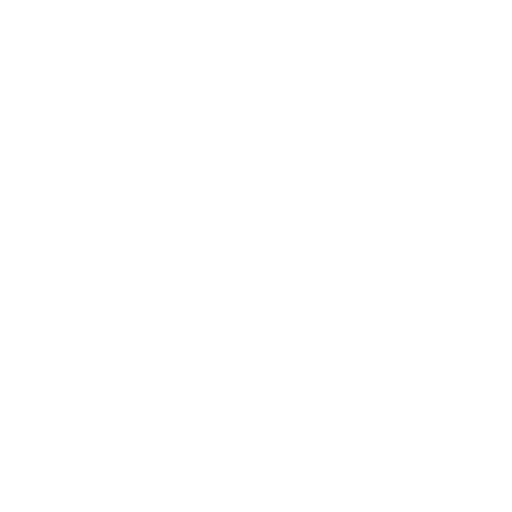 Icône pneu
